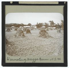 Thumbnail for Harvesting. Wagga Farm, New South Wales, Australia
