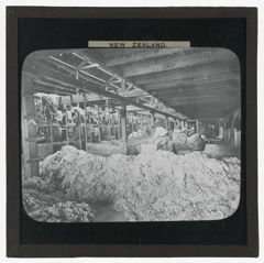 Thumbnail for Islington Freezing Works, Fellmongery, Canterbury, New Zealand