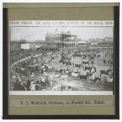 Thumbnail for Grand Parade - The Most Imposing Feature of the Royal Show
