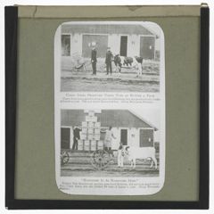 Thumbnail for "Casey Jones" Produced Three Tubs of Butter a Year and "Handsome Is As Handsome Does"