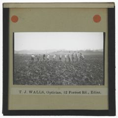 Thumbnail for Men Farming in a Field in Africa