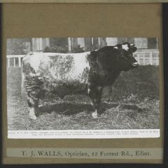 Thumbnail for No. 949