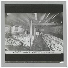 Thumbnail for Irish Ham Curing Cellar